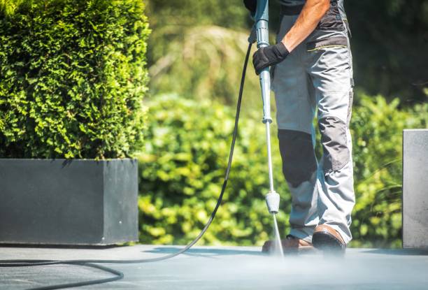Best Animal Enclosure Cleaning  in Erie, CO